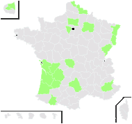 Liriodendron tulipifera L. - carte de répartition