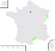 Sida cristata L. - carte de répartition