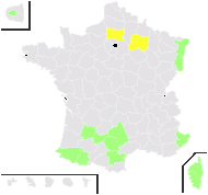 Ketmia syrorum Medik. - carte de répartition