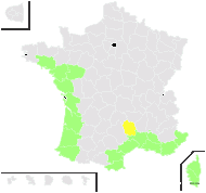 Sonchus bulbosus (L.) N.Kilian & Greuter subsp. bulbosus - carte de répartition