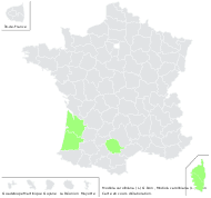Modiola caroliniana (L.) G.Don - carte de répartition