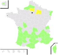 Morus nigra L. - carte de répartition