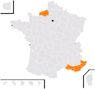 Ambrosia maritima L. - carte de répartition