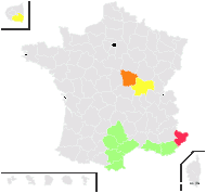 Anthemis pubescens Willd. - carte de répartition