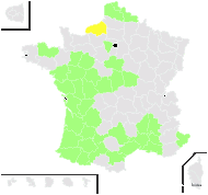 Jussiaea patibilcensis Kunth - carte de répartition