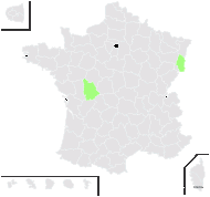 Oenothera atrovirens Shull & Bartlett - carte de répartition