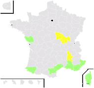 Anacyclus radiatus Loisel. - carte de répartition