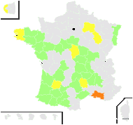 Oenothera suaveolens Desf. ex Pers. - carte de répartition