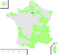 Fraxinus ornus L. subsp. ornus - carte de répartition