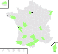 Jasminum angulare Bunge - carte de répartition