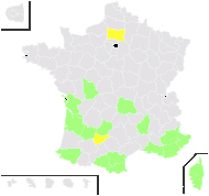 Jasminum affine Carrière - carte de répartition