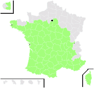Andryala lanata Vill. - carte de répartition