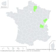 Syringa ×persica L. - carte de répartition