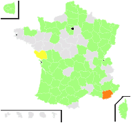 Syringa vulgaris L. - carte de répartition