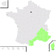 Orobanche cernua Loefl. subsp. cernua - carte de répartition