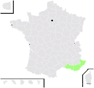 Orobanche fuliginosa Reut. ex Jord. - carte de répartition