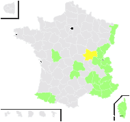 Orobanche psilandra K.Koch - carte de répartition