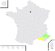 Orobanche salviihaerens St.-Lag. - carte de répartition