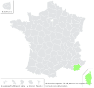 Orobanche sanguinea C.Presl - carte de répartition