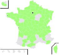 Xanthoxalis rufa (Small) Small - carte de répartition