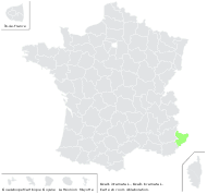 Oxalis incarnata L. - carte de répartition