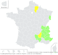 Bulbocapnos intermedius (L.) Trinajstic - carte de répartition