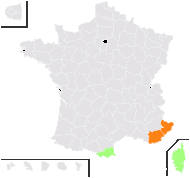 Hypecoum imberbe Sm. - carte de répartition