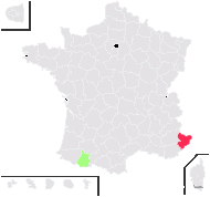 Papaver alpinum proles pyrenaicum sensu Rouy & Foucaud - carte de répartition
