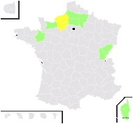 Papaver rhoeas proles strigosum (Boenn.) Rouy & Foucaud - carte de répartition