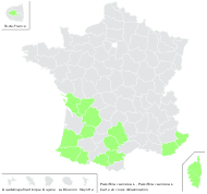 Passiflora caerulea L. - carte de répartition