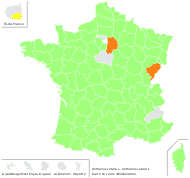 Anthemis cotula L. - carte de répartition