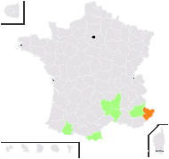 Anthemis pyrethrum Gouan - carte de répartition