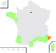 Anthemis littoralis Clemente - carte de répartition