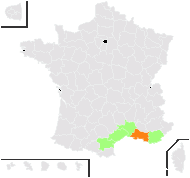 Plantago cornutii Gouan - carte de répartition