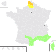 Plantago lagopus L. - carte de répartition