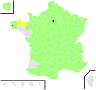 Plantago media L. - carte de répartition