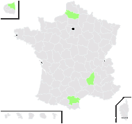 Valoradia plumbaginoides (Bunge) Boiss. - carte de répartition