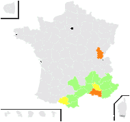 Cota aligulata Losa - carte de répartition