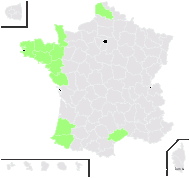 Statice dodartii subsp. occidentalis (J.Lloyd) Bonnier & Layens - carte de répartition