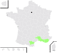 Statice duriuscula Girard - carte de répartition