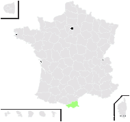 Statice delilei Aubouy - carte de répartition