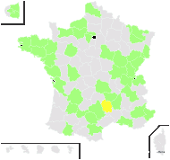 Polygonum aubertii L.Henry - carte de répartition