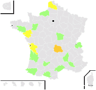 Fallopia baldschuanica (Regel) Holub - carte de répartition