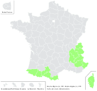 Oxyria digyna (L.) Hill - carte de répartition