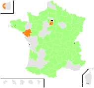 Bistorta officinalis Delarbre - carte de répartition