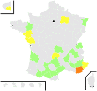 Polygonum orientale L. - carte de répartition