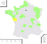 Pleuropteropyrum polystachyum (Wall. ex C.F.W.Meissn.) Javeid & Munshi - carte de répartition