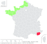 Polygonum raii Bab. - carte de répartition