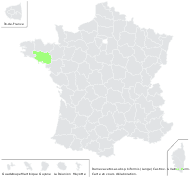 Rumex biformis Lange - carte de répartition