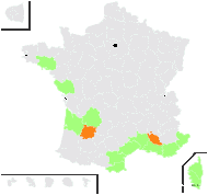 Rumex bucephalophorus L. - carte de répartition